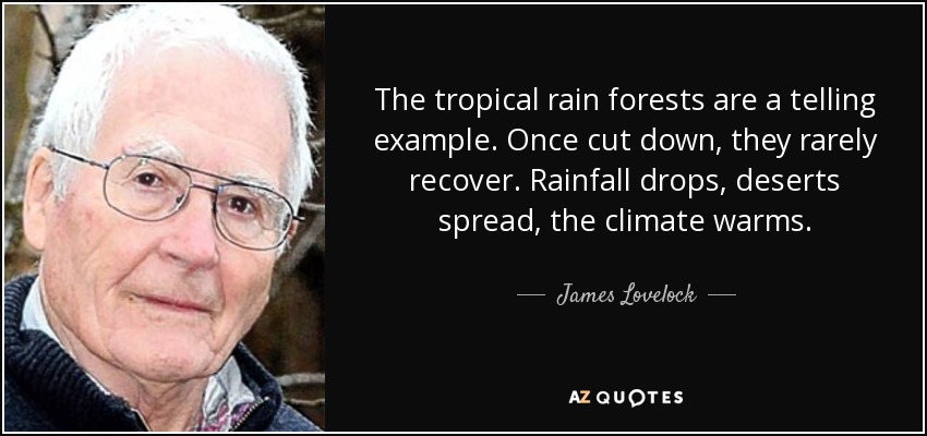 The tropical rain forests are a telling example. Once cut down, they rarely recover. Rainfall drops, deserts spread, the climate warms. - James Lovelock