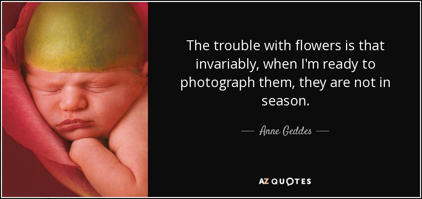 The trouble with flowers is that invariably, when I'm ready to photograph them, they are not in season. - Anne Geddes