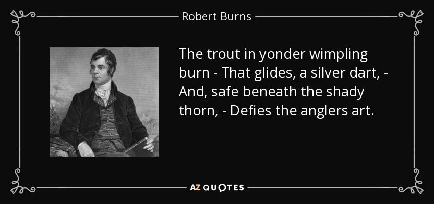 The trout in yonder wimpling burn - That glides, a silver dart, - And, safe beneath the shady thorn, - Defies the anglers art. - Robert Burns