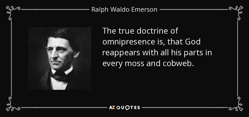 The true doctrine of omnipresence is, that God reappears with all his parts in every moss and cobweb. - Ralph Waldo Emerson