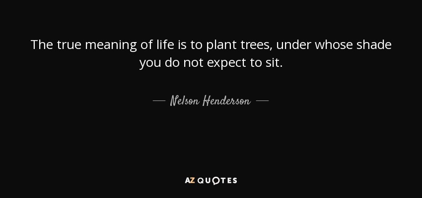 The true meaning of life is to plant trees, under whose shade you do not expect to sit. - Nelson Henderson