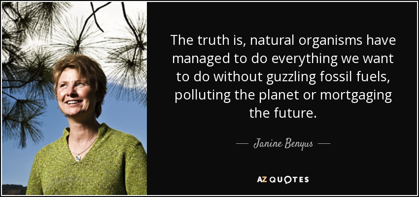 The truth is, natural organisms have managed to do everything we want to do without guzzling fossil fuels, polluting the planet or mortgaging the future. - Janine Benyus