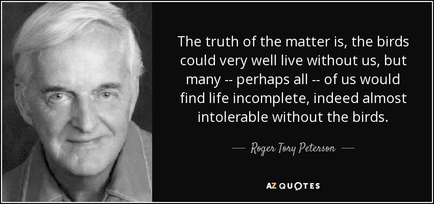 The truth of the matter is, the birds could very well live without us, but many -- perhaps all -- of us would find life incomplete, indeed almost intolerable without the birds. - Roger Tory Peterson