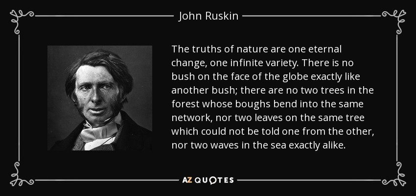 The truths of nature are one eternal change, one infinite variety. There is no bush on the face of the globe exactly like another bush; there are no two trees in the forest whose boughs bend into the same network, nor two leaves on the same tree which could not be told one from the other, nor two waves in the sea exactly alike. - John Ruskin
