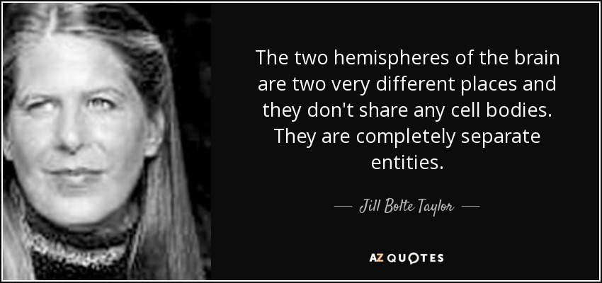 The two hemispheres of the brain are two very different places and they don't share any cell bodies. They are completely separate entities. - Jill Bolte Taylor