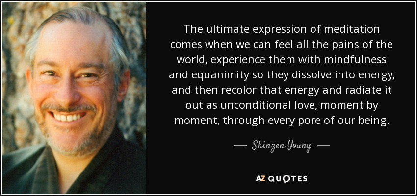 The ultimate expression of meditation comes when we can feel all the pains of the world, experience them with mindfulness and equanimity so they dissolve into energy, and then recolor that energy and radiate it out as unconditional love, moment by moment, through every pore of our being. - Shinzen Young