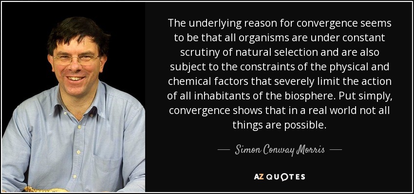 The underlying reason for convergence seems to be that all organisms are under constant scrutiny of natural selection and are also subject to the constraints of the physical and chemical factors that severely limit the action of all inhabitants of the biosphere. Put simply, convergence shows that in a real world not all things are possible. - Simon Conway Morris