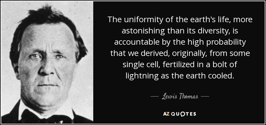 The uniformity of the earth's life, more astonishing than its diversity, is accountable by the high probability that we derived, originally, from some single cell, fertilized in a bolt of lightning as the earth cooled. - Lewis Thomas