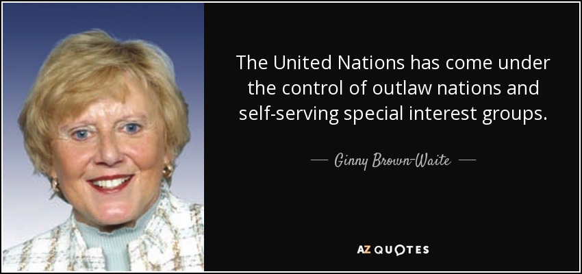 The United Nations has come under the control of outlaw nations and self-serving special interest groups. - Ginny Brown-Waite