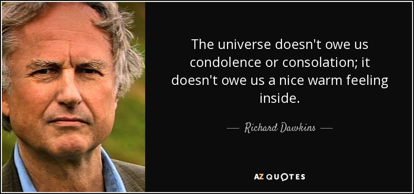 The universe doesn't owe us condolence or consolation; it doesn't owe us a nice warm feeling inside. - Richard Dawkins