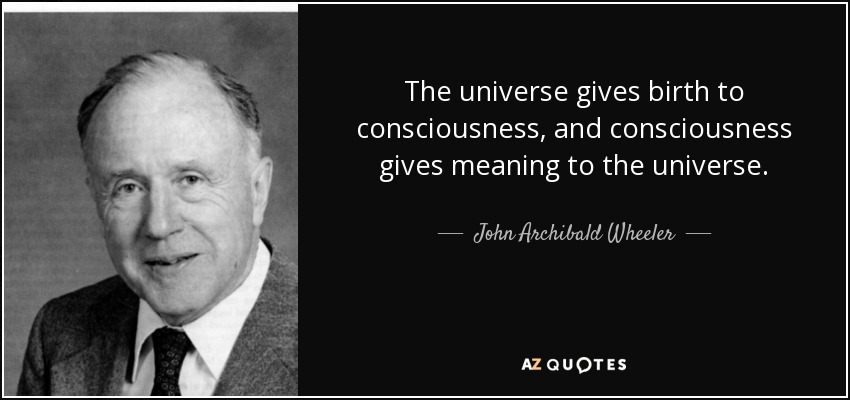 The universe gives birth to consciousness, and consciousness gives meaning to the universe. - John Archibald Wheeler
