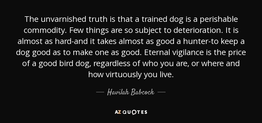 The unvarnished truth is that a trained dog is a perishable commodity. Few things are so subject to deterioration. It is almost as hard-and it takes almost as good a hunter-to keep a dog good as to make one as good. Eternal vigilance is the price of a good bird dog, regardless of who you are, or where and how virtuously you live. - Havilah Babcock