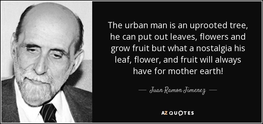 The urban man is an uprooted tree, he can put out leaves, flowers and grow fruit but what a nostalgia his leaf, flower, and fruit will always have for mother earth! - Juan Ramon Jimenez
