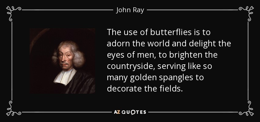 The use of butterflies is to adorn the world and delight the eyes of men, to brighten the countryside, serving like so many golden spangles to decorate the fields. - John Ray