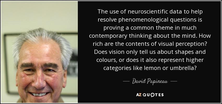 The use of neuroscientific data to help resolve phenomenological questions is proving a common theme in much contemporary thinking about the mind. How rich are the contents of visual perception? Does vision only tell us about shapes and colours, or does it also represent higher categories like lemon or umbrella? - David Papineau
