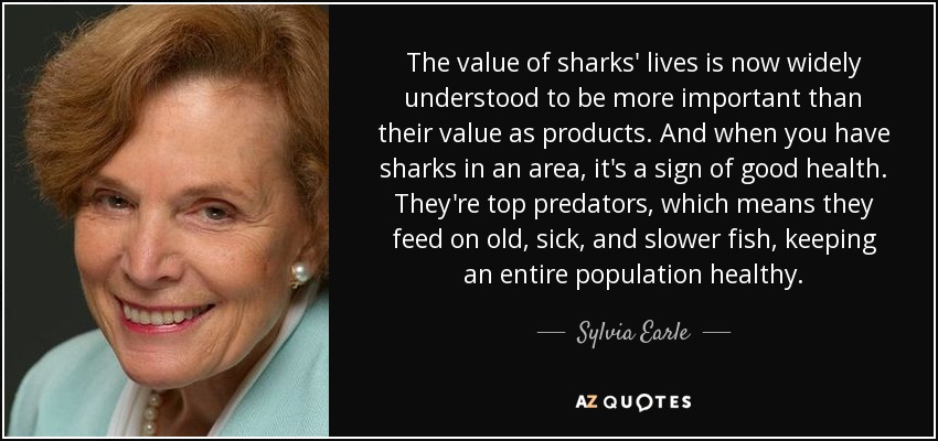 The value of sharks' lives is now widely understood to be more important than their value as products. And when you have sharks in an area, it's a sign of good health. They're top predators, which means they feed on old, sick, and slower fish, keeping an entire population healthy. - Sylvia Earle