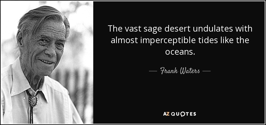 The vast sage desert undulates with almost imperceptible tides like the oceans. - Frank Waters