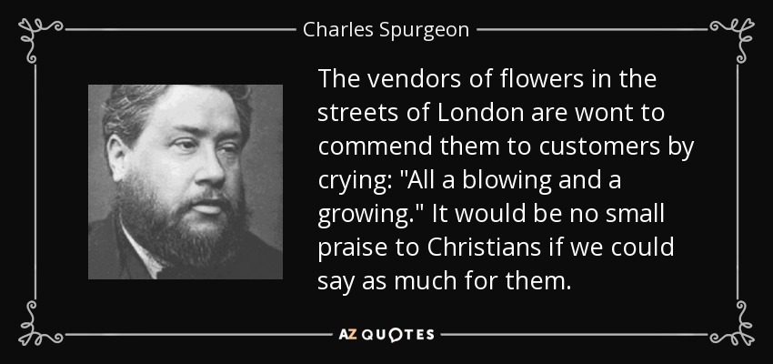 The vendors of flowers in the streets of London are wont to commend them to customers by crying: 