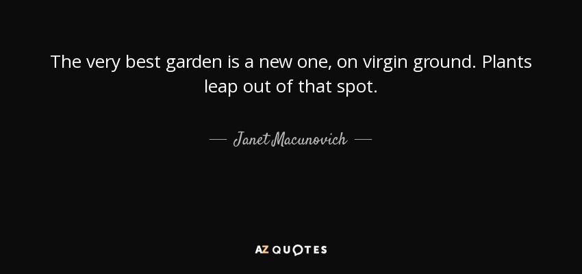 The very best garden is a new one, on virgin ground. Plants leap out of that spot. - Janet Macunovich