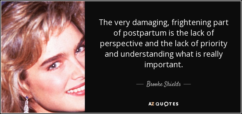 The very damaging, frightening part of postpartum is the lack of perspective and the lack of priority and understanding what is really important. - Brooke Shields