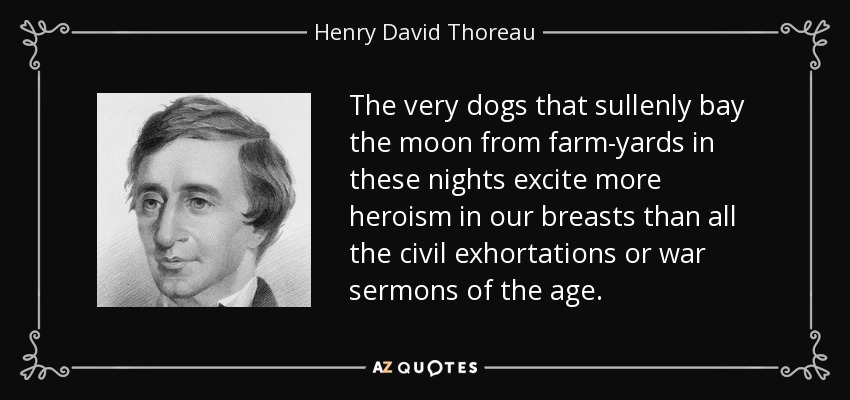 The very dogs that sullenly bay the moon from farm-yards in these nights excite more heroism in our breasts than all the civil exhortations or war sermons of the age. - Henry David Thoreau