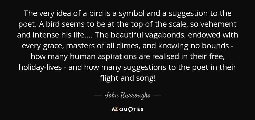 The very idea of a bird is a symbol and a suggestion to the poet. A bird seems to be at the top of the scale, so vehement and intense his life. . . . The beautiful vagabonds, endowed with every grace, masters of all climes, and knowing no bounds - how many human aspirations are realised in their free, holiday-lives - and how many suggestions to the poet in their flight and song! - John Burroughs