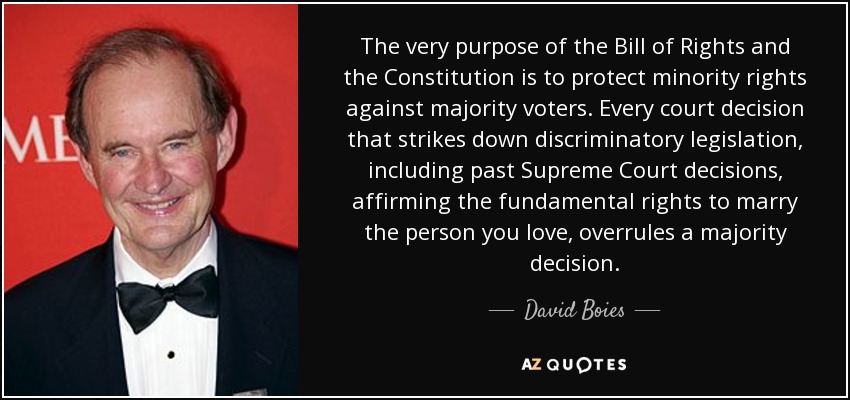 The very purpose of the Bill of Rights and the Constitution is to protect minority rights against majority voters. Every court decision that strikes down discriminatory legislation, including past Supreme Court decisions, affirming the fundamental rights to marry the person you love, overrules a majority decision. - David Boies