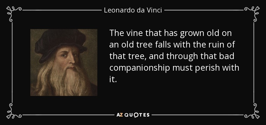 The vine that has grown old on an old tree falls with the ruin of that tree, and through that bad companionship must perish with it. - Leonardo da Vinci