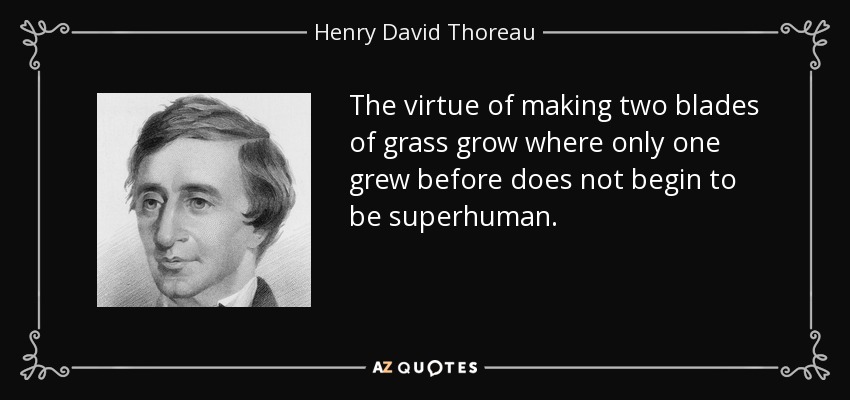 The virtue of making two blades of grass grow where only one grew before does not begin to be superhuman. - Henry David Thoreau
