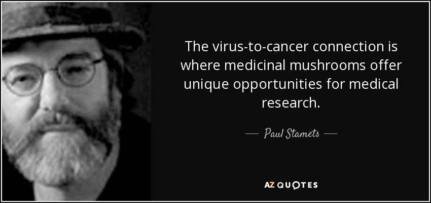 The virus-to-cancer connection is where medicinal mushrooms offer unique opportunities for medical research. - Paul Stamets