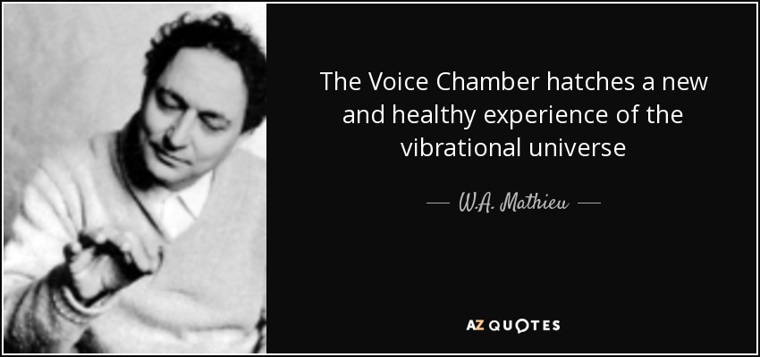 The Voice Chamber hatches a new and healthy experience of the vibrational universe - W.A. Mathieu
