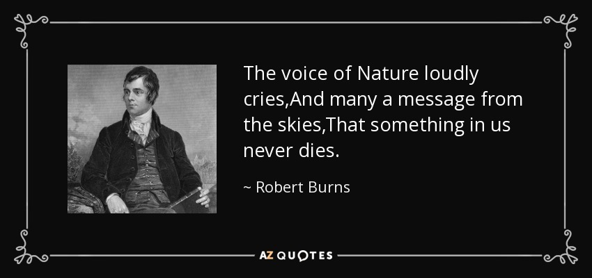 The voice of Nature loudly cries,And many a message from the skies,That something in us never dies. - Robert Burns