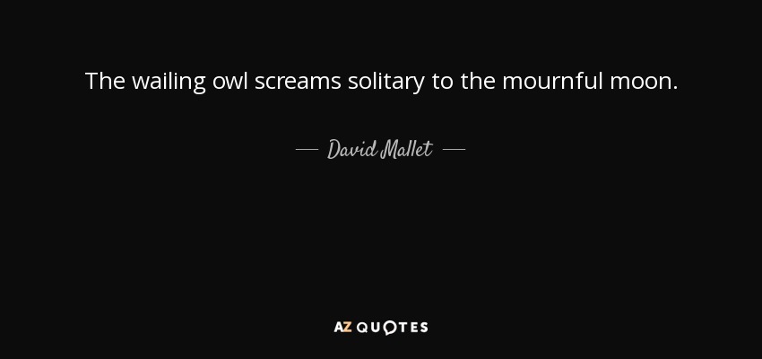 The wailing owl screams solitary to the mournful moon. - David Mallet
