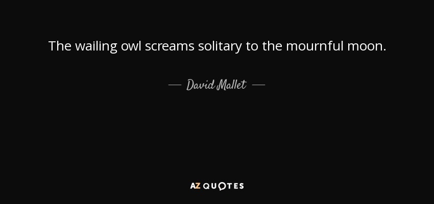 The wailing owl screams solitary to the mournful moon. - David Mallet