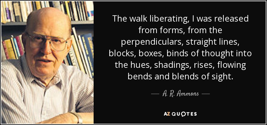 The walk liberating, I was released from forms, from the perpendiculars, straight lines, blocks, boxes, binds of thought into the hues, shadings, rises, flowing bends and blends of sight. - A. R. Ammons