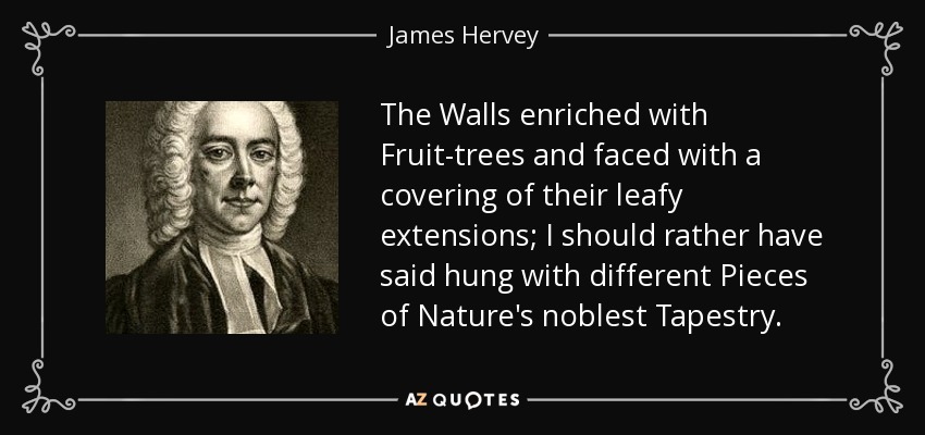 The Walls enriched with Fruit-trees and faced with a covering of their leafy extensions; I should rather have said hung with different Pieces of Nature's noblest Tapestry. - James Hervey