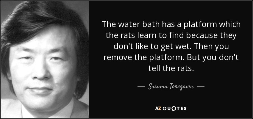The water bath has a platform which the rats learn to find because they don't like to get wet. Then you remove the platform. But you don't tell the rats. - Susumu Tonegawa