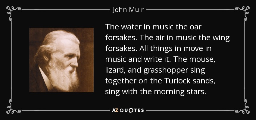 The water in music the oar forsakes. The air in music the wing forsakes. All things in move in music and write it. The mouse, lizard, and grasshopper sing together on the Turlock sands, sing with the morning stars. - John Muir