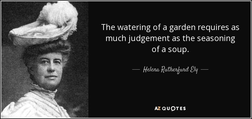 The watering of a garden requires as much judgement as the seasoning of a soup. - Helena Rutherfurd Ely