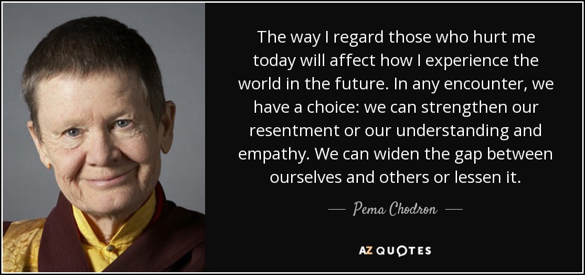 The way I regard those who hurt me today will affect how I experience the world in the future. In any encounter, we have a choice: we can strengthen our resentment or our understanding and empathy. We can widen the gap between ourselves and others or lessen it. - Pema Chodron