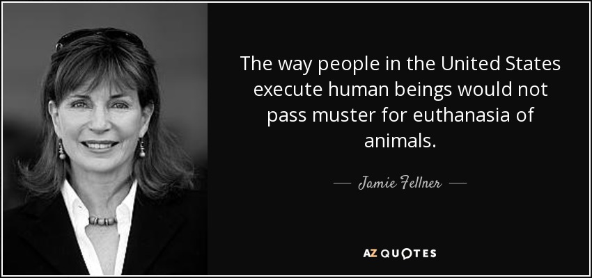 The way people in the United States execute human beings would not pass muster for euthanasia of animals. - Jamie Fellner