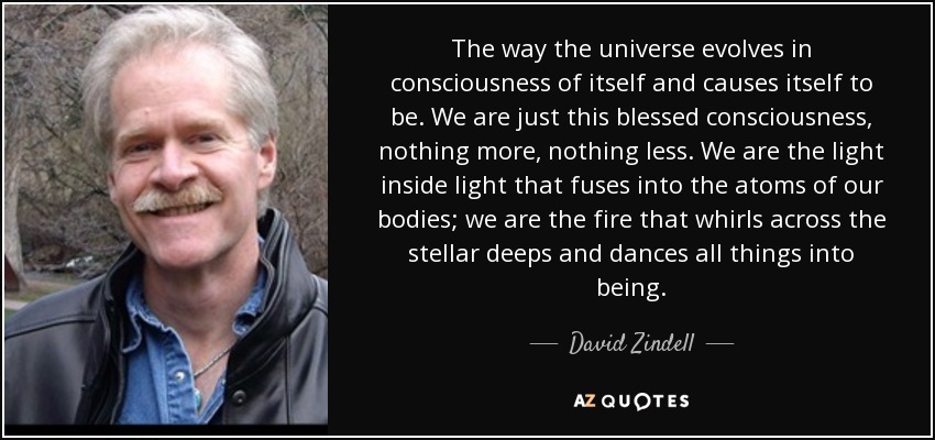 The way the universe evolves in consciousness of itself and causes itself to be. We are just this blessed consciousness, nothing more, nothing less. We are the light inside light that fuses into the atoms of our bodies; we are the fire that whirls across the stellar deeps and dances all things into being. - David Zindell