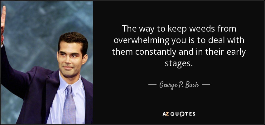 The way to keep weeds from overwhelming you is to deal with them constantly and in their early stages. - George P. Bush