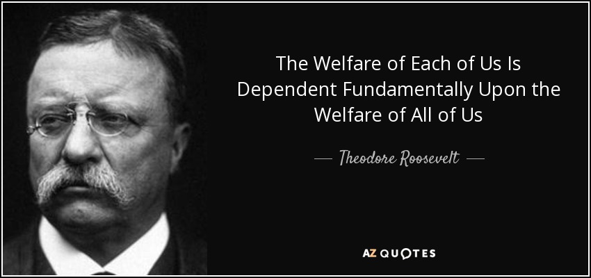 The Welfare of Each of Us Is Dependent Fundamentally Upon the Welfare of All of Us - Theodore Roosevelt