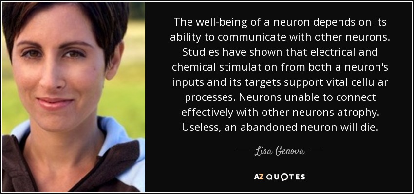 The well-being of a neuron depends on its ability to communicate with other neurons. Studies have shown that electrical and chemical stimulation from both a neuron's inputs and its targets support vital cellular processes. Neurons unable to connect effectively with other neurons atrophy. Useless, an abandoned neuron will die. - Lisa Genova