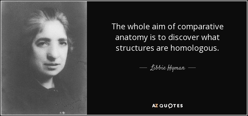 The whole aim of comparative anatomy is to discover what structures are homologous. - Libbie Hyman