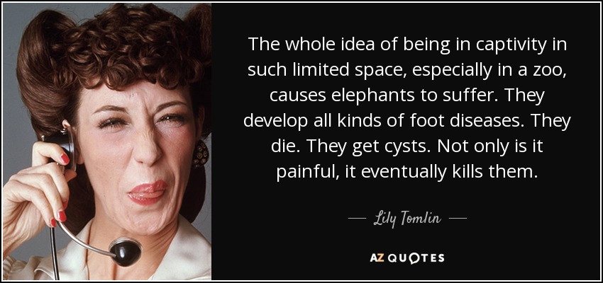 The whole idea of being in captivity in such limited space, especially in a zoo, causes elephants to suffer. They develop all kinds of foot diseases. They die. They get cysts. Not only is it painful, it eventually kills them. - Lily Tomlin