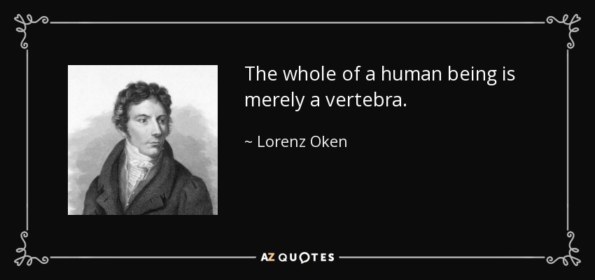 The whole of a human being is merely a vertebra. - Lorenz Oken