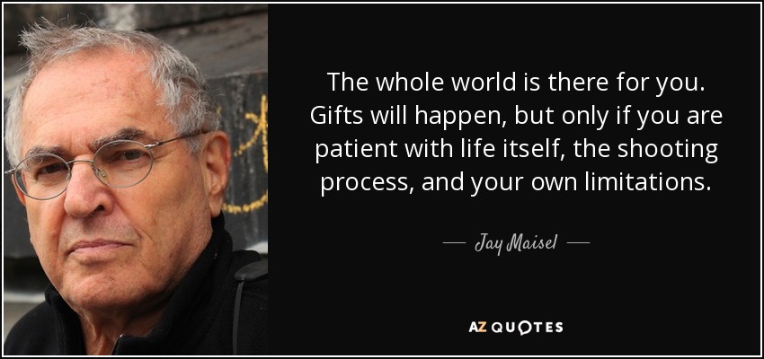 The whole world is there for you. Gifts will happen, but only if you are patient with life itself, the shooting process, and your own limitations. - Jay Maisel