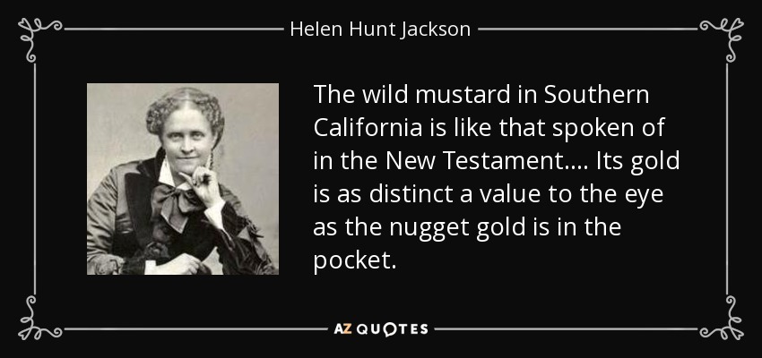 The wild mustard in Southern California is like that spoken of in the New Testament. . . . Its gold is as distinct a value to the eye as the nugget gold is in the pocket. - Helen Hunt Jackson
